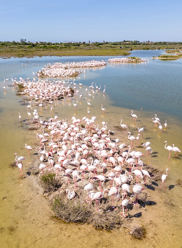 Unlike this spring, the extremely dry year of 2024 in Sicily off